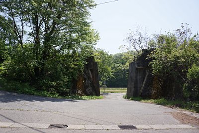 ���g�w�߂��̌א�����