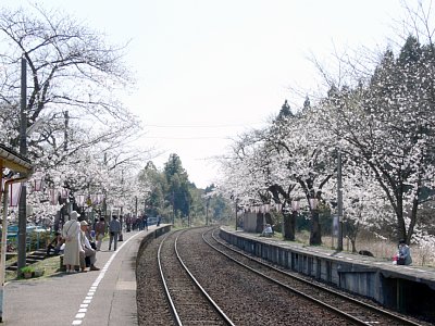 �w��ʂ������J�ɂȂ��Ă���