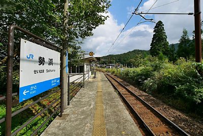 �P���z�[��