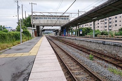 �z�[���ƌא���