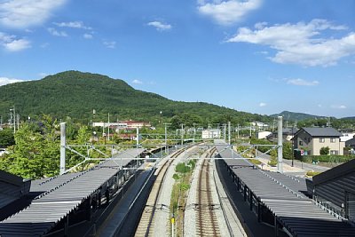 �z�[���S�̗̂l�q