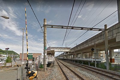 ���؂��猩���z�[��