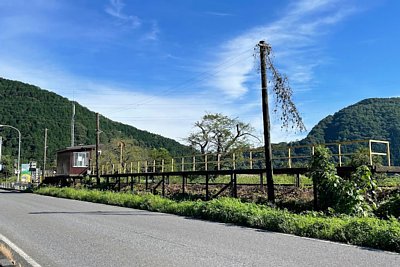 �z�[����̑ҍ���