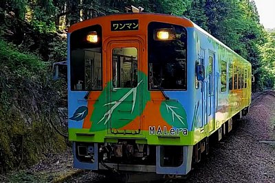 �n�C��330-700�`�C����