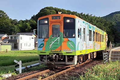 �n�C��330-700�`�C����