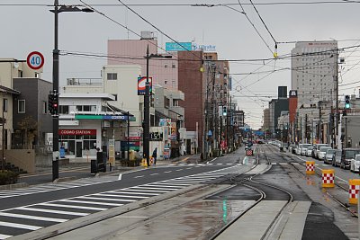 ���쉮�|�z�K�쌴�Ԃ͈ꕔ�P���ƂȂ��Ă��܂�