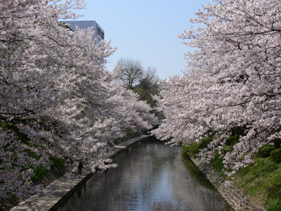 ����ׂ�̍����J